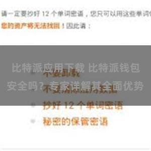 比特派应用下载 比特派钱包安全吗？专家详解其全面优势