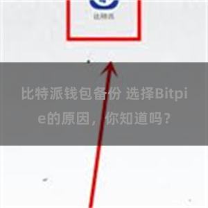 比特派钱包备份 选择Bitpie的原因，你知道吗？