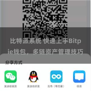 比特派系统 快速上手Bitpie钱包，多链资产管理技巧