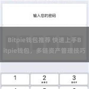 Bitpie钱包推荐 快速上手Bitpie钱包，多链资产管理技巧