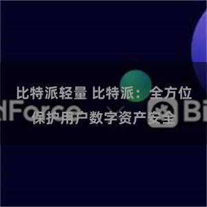 比特派轻量 比特派：全方位保护用户数字资产安全