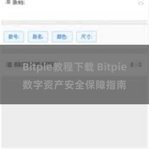 Bitpie教程下载 Bitpie数字资产安全保障指南