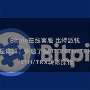 Bitpie在线客服 比特派钱包转账教程详解，快速了解BTC/ETH/TRX转账操作