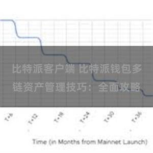 比特派客户端 比特派钱包多链资产管理技巧：全面攻略