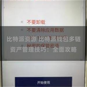 比特派资源 比特派钱包多链资产管理技巧：全面攻略