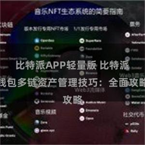 比特派APP轻量版 比特派钱包多链资产管理技巧：全面攻略