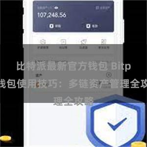 比特派最新官方钱包 Bitpie钱包使用技巧：多链资产管理全攻略