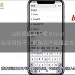 比特派应用下载 Bitpie钱包使用技巧：多链资产管理全攻略