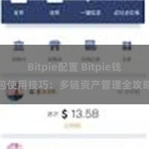 Bitpie配置 Bitpie钱包使用技巧：多链资产管理全攻略