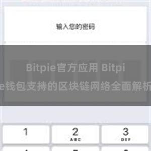 Bitpie官方应用 Bitpie钱包支持的区块链网络全面解析