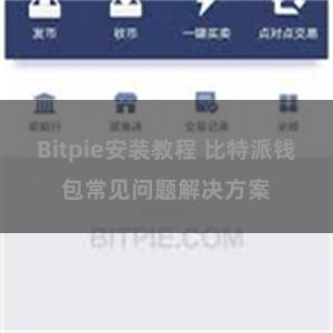 Bitpie安装教程 比特派钱包常见问题解决方案