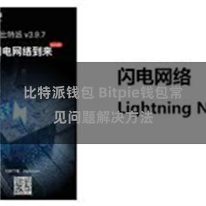 比特派钱包 Bitpie钱包常见问题解决方法