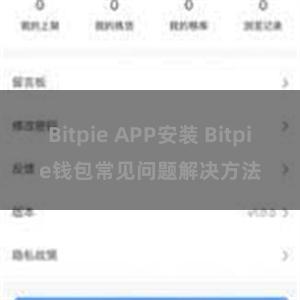 Bitpie APP安装 Bitpie钱包常见问题解决方法