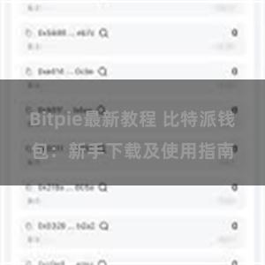 Bitpie最新教程 比特派钱包：新手下载及使用指南