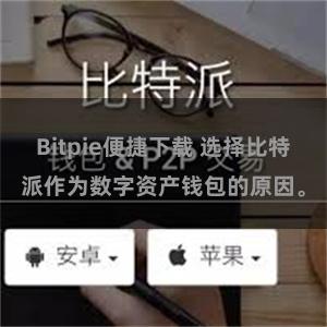 Bitpie便捷下载 选择比特派作为数字资产钱包的原因。