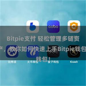 Bitpie支付 轻松管理多链资产，教你如何快速上手Bitpie钱包！