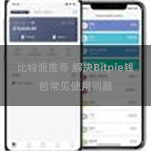 比特派推荐 解决Bitpie钱包常见使用问题