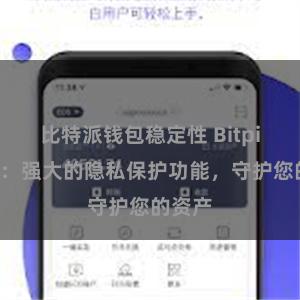 比特派钱包稳定性 Bitpie钱包：强大的隐私保护功能，守护您的资产