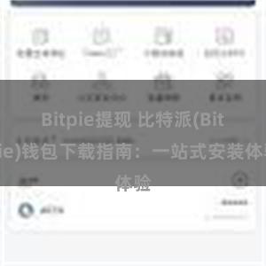 Bitpie提现 比特派(Bitpie)钱包下载指南：一站式安装体验