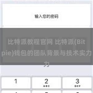 比特派教程官网 比特派(Bitpie)钱包的团队背景与技术实力