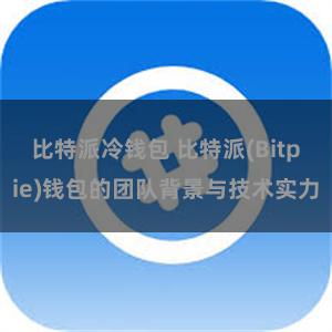 比特派冷钱包 比特派(Bitpie)钱包的团队背景与技术实力