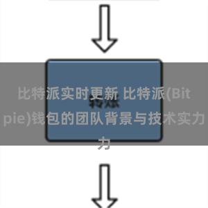 比特派实时更新 比特派(Bitpie)钱包的团队背景与技术实力