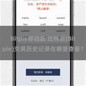 Bitpie移动版 比特派(Bitpie)交易历史记录在哪里查看？