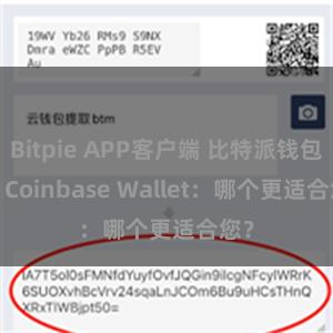 Bitpie APP客户端 比特派钱包 vs Coinbase Wallet：哪个更适合您？