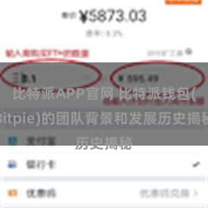 比特派APP官网 比特派钱包(Bitpie)的团队背景和发展历史揭秘
