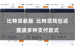 比特派新版  比特派钱包还提拔多种支付款式